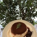 올리브 바닐라 이미지