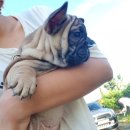 ZANYCAMP(재니캠프) 이미지