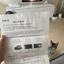 기아오토큐명동점 | [기아 오토큐 명동점] 기아 자동차 서비스센터 차량정비예약, 리콜 무상 수리, 엔진오일 교체, 기본점검...