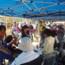 구천초등학교 이미지