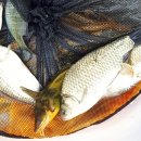 단돈낚시터 이미지