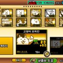 에쓰디 이미지
