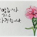 꽃달아