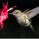 그루터기 이미지