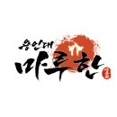 용인대 마루한 태권도 이미지