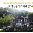 여내골산장 이미지