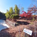 배울목장 이미지