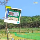 위천수변테마파크 이미지