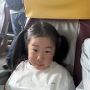 [제주]5월26일,5살 아이랑 가파도 다녀온 후기