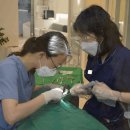 서울이나랑치과의원 이미지