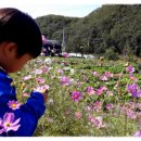 덕고개로 이미지