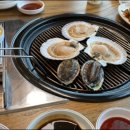 싱싱장어 이미지