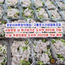 포항강도다리협동조합