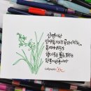 성원인력개발 이미지