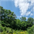 내곡동270 이미지