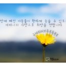 투투러브유 이미지
