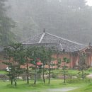 초록마을 이미지