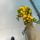 연지한의원 | ep.16 4월의 일상