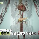 [닥터의 경고, 췌장질환] 우리 몸속 깊은 곳에서 소화액을 분비하고 인슐린, 글루카곤 등 각종 호르몬을 생성하고 분비하는 &#34;췌장&#34;! 이미지