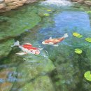 한삶갤러리카페 이미지