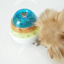 댕댕스낵 이미지