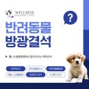 24시 웰니스 동물 의료센터 이미지