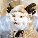 망토 두른 강아지 | 다이소 루돌프 후드 망토 : 가볍게 둘러주면 루돌프로 변신하는 펫 망토 1067704