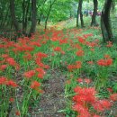 미당농장 이미지