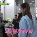 개벤져스 이미지