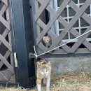 보옥농장 이미지