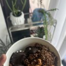 요거트 아이스크림의 정석 이미지