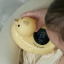 빨강오리 | [육아용품후기] 말랑하니 아기오리 탕온계 내돈내산 후기