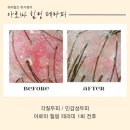 하라힐즈하가점 이미지
