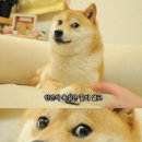 신항부부한의원 이미지