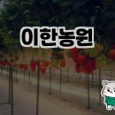 한농장 | 일산 딸기체험농장 이한농원 방문 후기 🍓