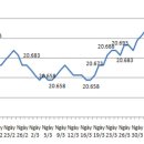 은행내 USD/VND 환율 사상 최고 금액 이미지