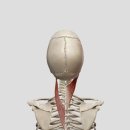 CM Fitness 이미지