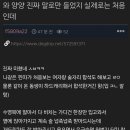 양양가서 원나잇했다는 썰 이미지