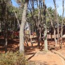 신흥정수장 이미지