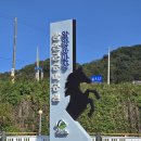 악양 승마장 이미지