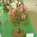 조이플라자 이미지