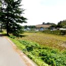 불갑경로당 이미지