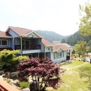 소금강펜션 이미지