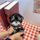 멜로디펍스 이미지