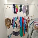 나는펫이다 | 용인 강아지 유모차 전문매장 펫막스 후기