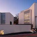 포레스트 펫 이미지