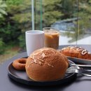 금정산별장 | 부산 로띠포레스트 카페 주차 로띠번 온천장 대형카페 실시간