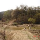 국당1리 이미지