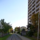 아사비야 이미지