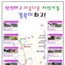 양남자전거